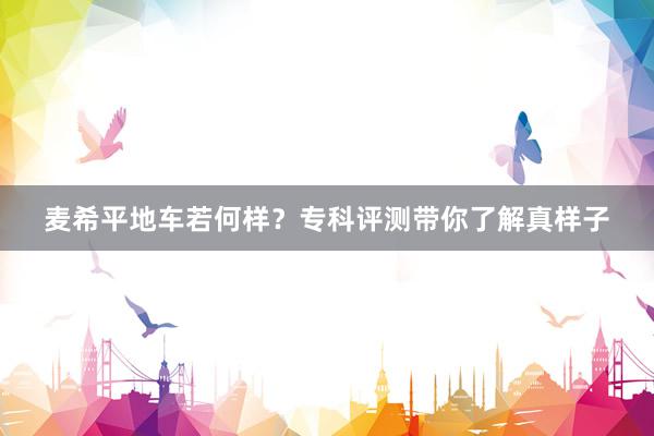 麦希平地车若何样？专科评测带你了解真样子