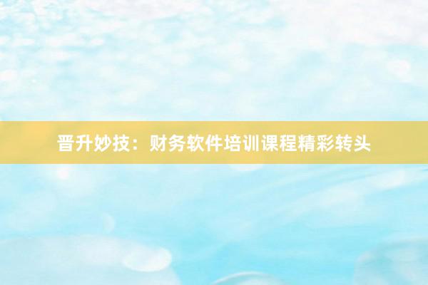 晋升妙技：财务软件培训课程精彩转头