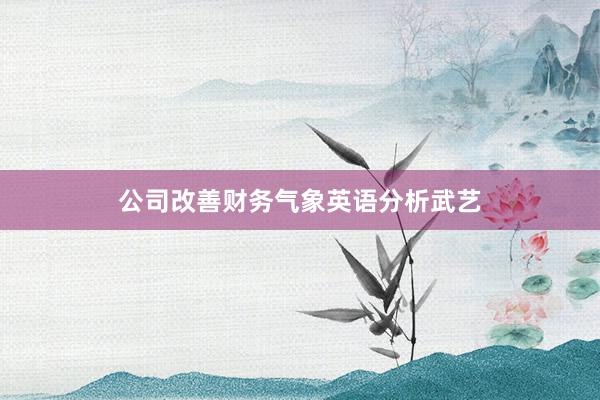 公司改善财务气象英语分析武艺