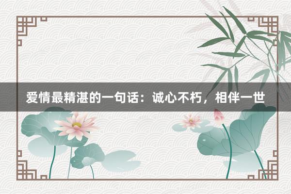 爱情最精湛的一句话：诚心不朽，相伴一世