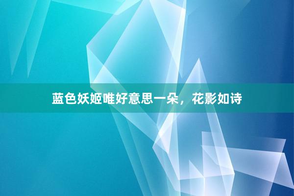 蓝色妖姬唯好意思一朵，花影如诗