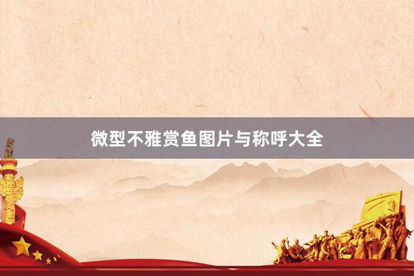 微型不雅赏鱼图片与称呼大全
